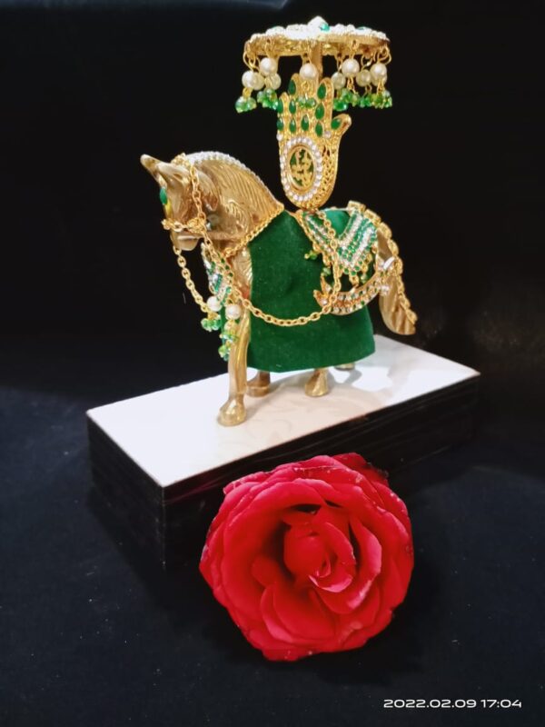 Impressive Kashi Zuljanah with Punja