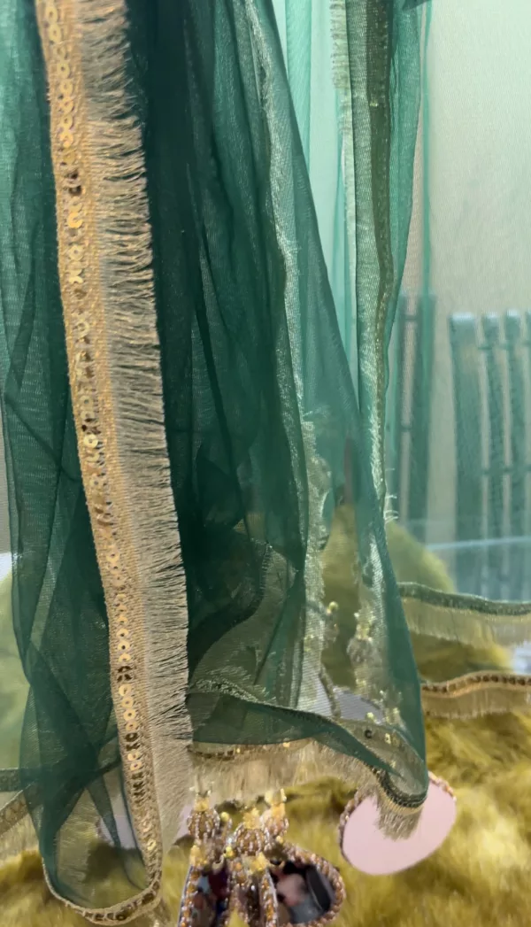 Nand ki Shaadi Dupata - Image 2