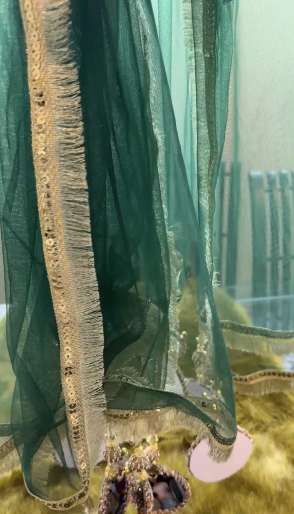 Nand ki Shaadi Dupata - Image 10